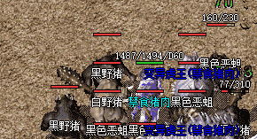 35级道士别在主城发呆，这三个地图才是真